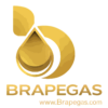 Brapegas C.A.